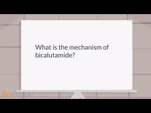 What is the mechanism of bicalutamide?