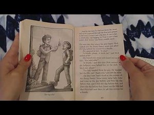 Frindle, Ch. 6 The Big Idea