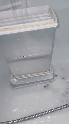 How to Clean Dryer Filters: Essential Maintenance Tips