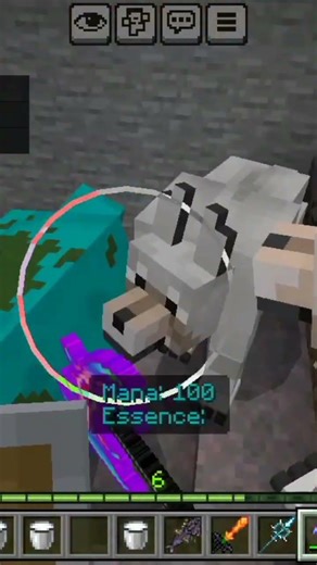 Minecraft mutant Zombie vs me and my wolf