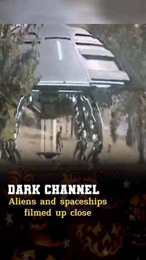 Guest of the earth. #alien #ufo #secret #scary #darkchannel #RiseOfTheBeasts #styleblogger #diablo #meatlessmonday | Dark Corner