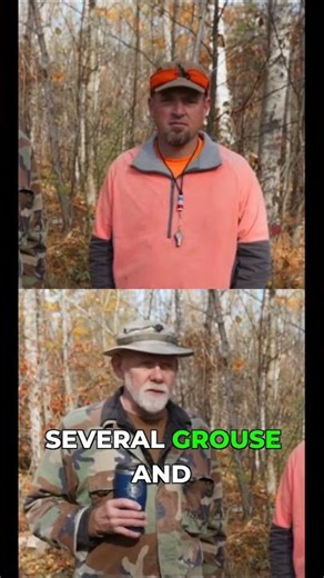 The moment I knew my dog was a natural pointer #birddogs #hunting #gsp