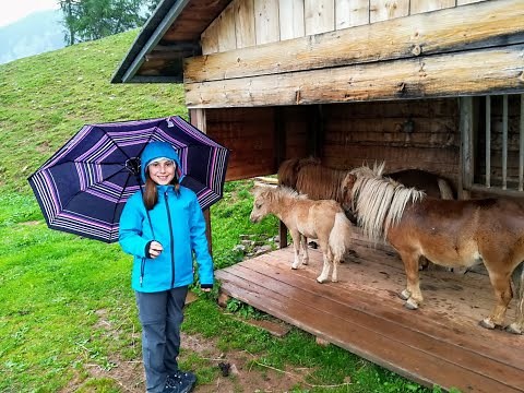 Live Merano Camping - Merano 2000 - Haflinger