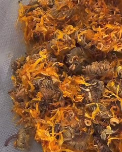 Yesterday morning, we played a little game guessing what a certain ingredient was & what product it was being made for. Y’all are so smart because so many of you were right on the money! 👏🏼👏🏼👏🏼 🌼 If you guessed Calendula flower for our Rowe Casa Boo-Boo Salve, you were entered to win a $75 Rowe Casa gift-card! Congratulations to Amy Phillips on winning the game! 🥳 Any- email us at info@rowecasaorganics.com to claim your prize!! Calendula (🌿 a flowering plant) is PACKED with beneficial p