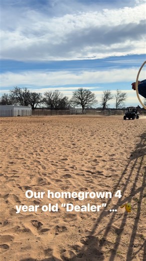 Lookin Fletching A.K.A “Dealer” #homegrown 4 year old gelding. Fletch that Cat X WR Rey Nice Gun | Cade Swor