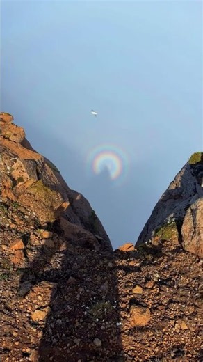 Did you ever Seen Something like THIS?