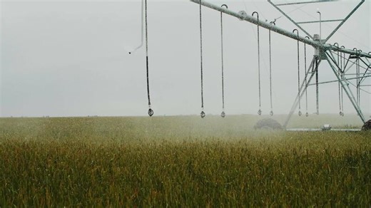 Automated center pivot irrigation system watering crops on a farm.