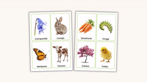 Spanish Spring Flashcards | 44 Vocabulary Cards for Kids | Printable Spanish Resource | Spring Words - Etsy