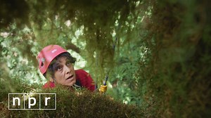 VIDEOS: Maddie About Science