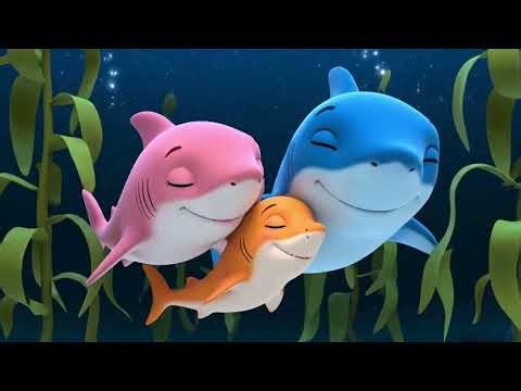 Baby Shark, Where’d He Go?