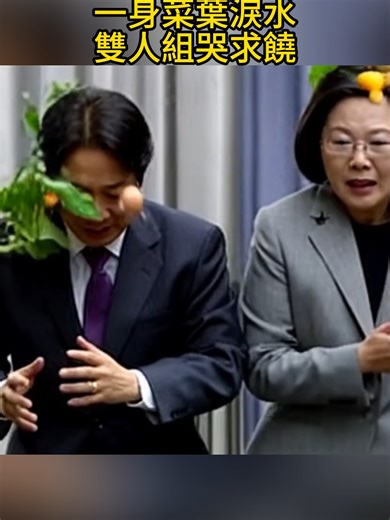 #aigc #fyp #赖清德 #蔡英文 #民进党