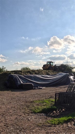 Silage: How to Store Enough Feed to Last 2 Years
