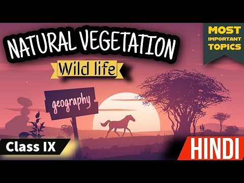 Natural vegetation and wildlife class 9 | chapter 5 geography class 9 | class 9 geography chapter 5