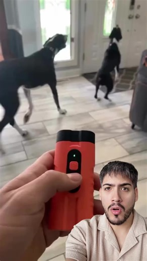 📱 Download this app for daily Amazon Deals! 🔗 Tap the link in bio for today’s top savings! 🔥 Shop the best deals now! 🔥 📅 Products linked in bio! (Amazon Affiliate | Shopping Hacks & Limited-Time Offers) #amazondeals #amazonfinds #amazonpromocodes #amazondiscount #dealoftheday https://dealsbyam.com/bio/tt