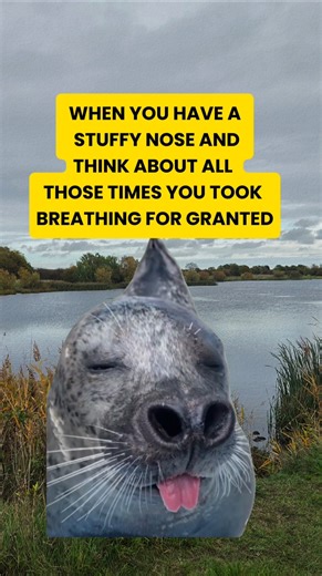 when you have a stuffy nose #stuffynose #runnynose #cantbreathe #relatablememes #funnymeme #pov