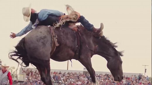 Ohio! Join us Friday May 16th & Saturday May 17th at the Tuscarawas County Fairgrounds for the PRCA rodeo! They'll have bull riding, steer wrestling, calf roping, cowgirl barrel racing and more! Nonstop action and fun for the whole family. Grab your tickets before they're gone! | Fox 8 News