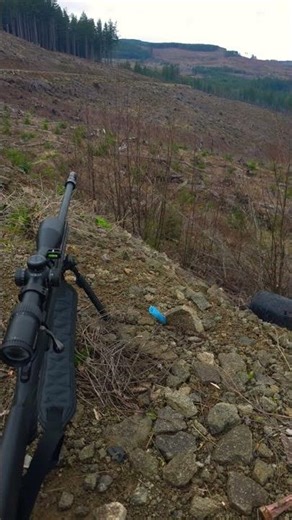 a little predator calling. beats being cooped up at home.