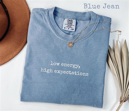 Low Energy High Expectations Shirt, Burnt Out Professional Tee, Work Life Humor Gift, Comfort Colors - Etsy