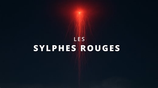 Etranges et spectaculaires : les sylphes rouges (red sprites) illuminent le ciel ! 🪼⚡Aujourd'hui, on parle d'un phénomène atmosphérique presque insaisissable : les sylphes rouges, aussi appelés farfadets ou sprites en anglais. Retrouvez nos autres vidéos sur le thème de la météorologie ici : https://bit.ly/3JXzffe Et vous pouvez nous soutenir sur Tipeee 💰 : https://fr.tipeee.com/bigbangscience 📖 Sources : https://fr.wikipedia.org/wiki/Phénomène_lumineux_transitoire#Farfadets https://www.nasa.