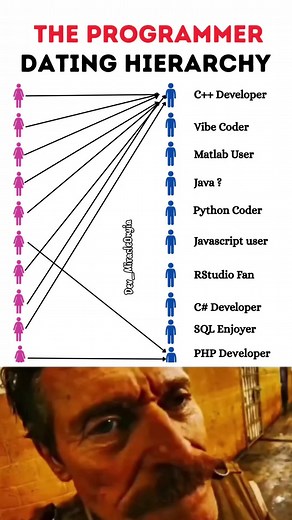 Programmer Dating Hierarchy: Who Dates Who in Tech