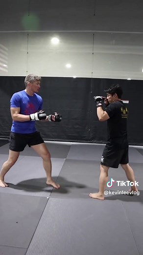 Karate Moves of Wonderboy in UFC Fights