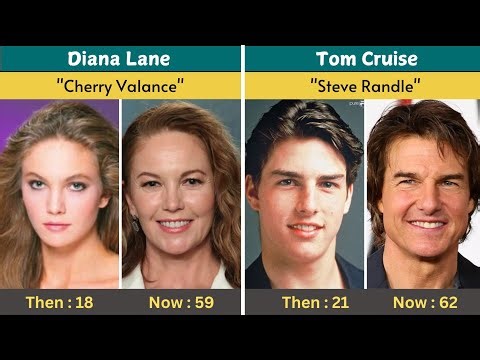 The Outsiders (1983) Cast Then And Now 2024 How They Are Changed