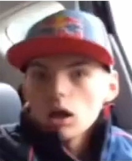 Roblox Pet Walking Adventure and Memes