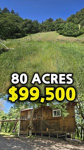 80 Acres - $99,500 | Log Homes
