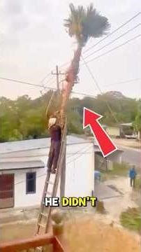 Cutting Down Trees Is Dangerous 😮 🌴 #smartflow #shorts #closecall