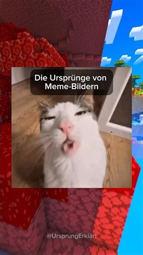Die Ursprünge von Meme-Bildern (11)