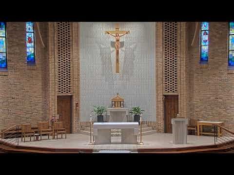 Sunday Mass - 9 AM - 11/02/2025