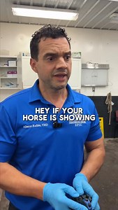Gastric ulcers are one of the most common issues we see in performance horses. But without scoping, they often go undetected. The horse’s stomach is divided into two regions: the squamous (upper, non-glandular) and the glandular (lower, acid-producing). Ulcers typically form along the margo plicatus—the dividing line between the two. In this case, we saw clear ulceration in the squamous region. Our go-to protocol involves: • Omeprazole daily for 28–30 days • A gradual taper to avoid rebound acid