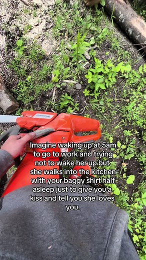 #mensmentalhealth #relationship #fypage #husqvarna455rancher #logging @Hailey Cheyenne