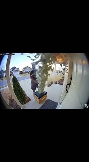 magic money box ritual #manifestation #shorts