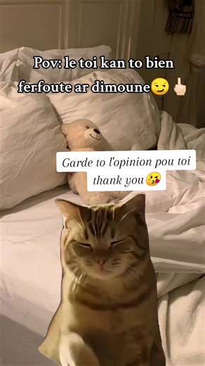 Navigating Opinions in Mauritius: A Humorous Perspective