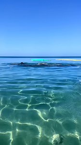 27K views · 134 reactions | Hot Guys Guys Beach Fun so funny , what do you think? #men #sexy #sexymen #bromance | Kobby Chezzy | Facebook