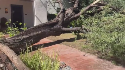 Update on recovery efforts after Tempe microburst