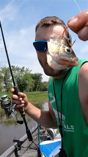 I caught a bizarre looking fish on a bluegill head #fishing