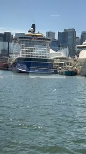 11K views · 389 reactions | Took The Sebus from the North Shore into...