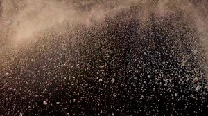 65 reactions · 47 shares | Go Blonder! Das neue TIGI Copyright Colour Lift Spektrum bietet perfekte Aufhellung und Nuancierung in einem Arbeitsschritt. Weniger Ammoniak, eine cremigere Konsistenz, und ein Express-Lift-Service von bis zu 5 Level in nur 35 Minuten - da machen Blondservices richtig Laune! | TIGI Haircare DE | Facebook