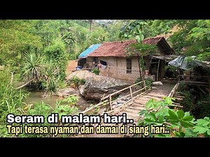 Alone, living in an eccentric house on the edge of a river in the middle of the forest || life in...