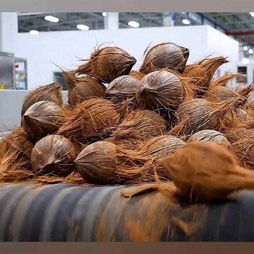 Inside a Modern Coconut Milk Factory