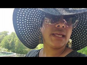 Peach 🍑 Tree Neem Oil Spray down!!! #neemoil #peachtree #gardening #fruittrees