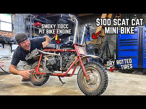 We Built a 4 Speed Shifter Mini Bike for CHEAP! (1970s Scat Cat)