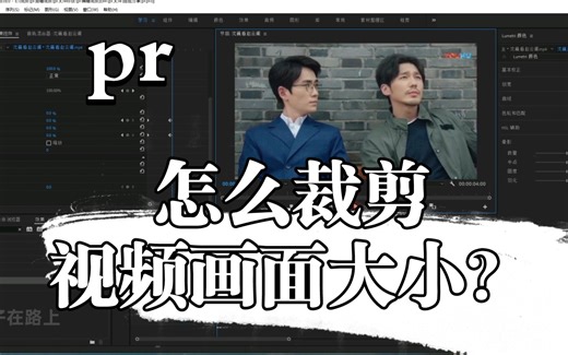 Pr怎么裁剪视频画面大小？