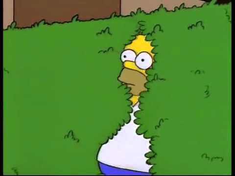 Homer backs into bushes