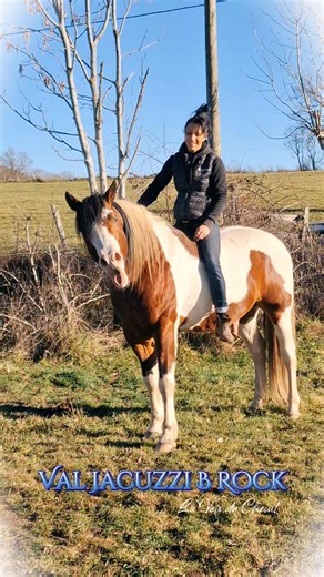 -->𝙎𝑨𝙄𝑳𝙇𝑰𝙀𝑺 𝑳𝙄𝑴𝙄𝑻𝙀́𝑬𝙎, 𝑷𝙀𝑵𝙎𝑬𝙕 𝘼̀ 𝙍𝑬́𝙎𝑬𝙍𝑽𝙀𝑹 𝑹𝘼𝑷𝙄𝑫𝙀𝑴𝙀𝑵𝙏 💥 𝕍𝔸𝕃 𝕁𝔸ℂ𝕌ℤℤ𝕀 𝔹 ℝ𝕆ℂ𝕂 PAINT HORSE PP, superbe étalon Saillie uniquement en main 100% de juments pleines pour la saison dernière Jacuzzi est un gentil étalon, qui donne sa gentillesse et son calme à ses poulains(photos de ses produits sur demande). Ses jolis yeux bleus vous feront craquer ainsi que son harmonieuse morphologie. Il est très doux avec les juments 🎖Négatif 6 panels , Aa. Ee. SW1/