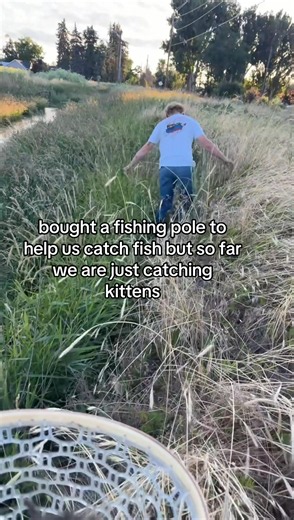 *fishing net #fishing #kittens #saved #fyp #viralvideo | kittens