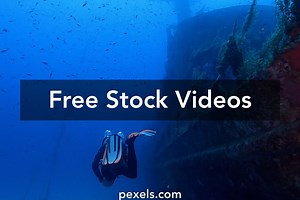 Ocean Deep Videos, Download The BEST Free 4k Stock Video Footage & Ocean Deep HD Video Clips