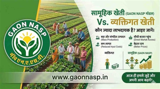 Individual vs Collective Farming: GAON NASP Benefits — GAON NASP | GAON NASP
